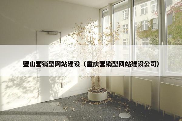 璧山营销型网站建设（重庆营销型网站建设公司）