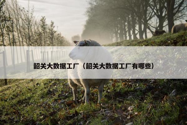 韶关大数据工厂（韶关大数据工厂有哪些）