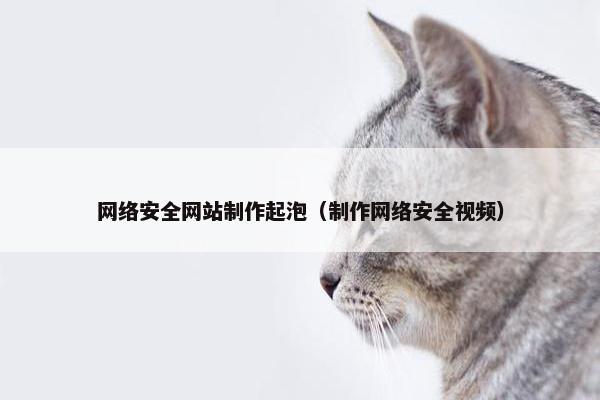 网络安全网站制作起泡（制作网络安全视频）