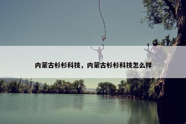 内蒙古杉杉科技，内蒙古杉杉科技怎么样