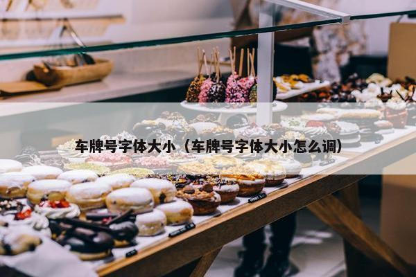 车牌号字体大小（车牌号字体大小怎么调）