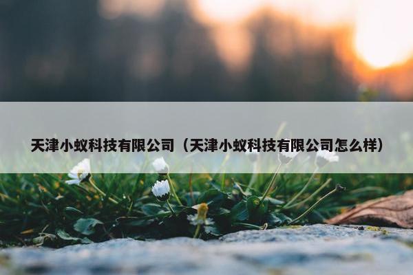 天津小蚁科技有限公司（天津小蚁科技有限公司怎么样）