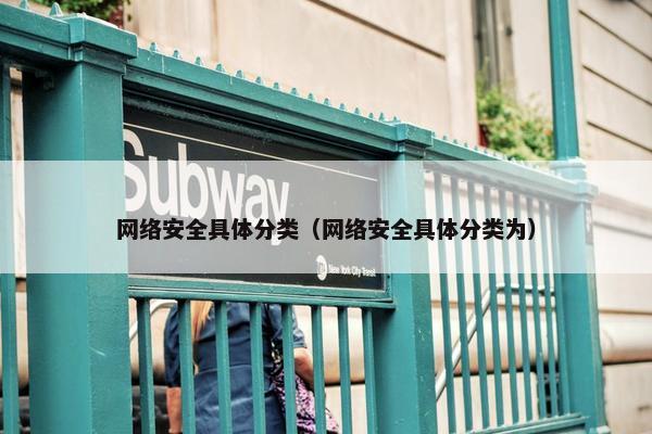 网络安全具体分类（网络安全具体分类为）