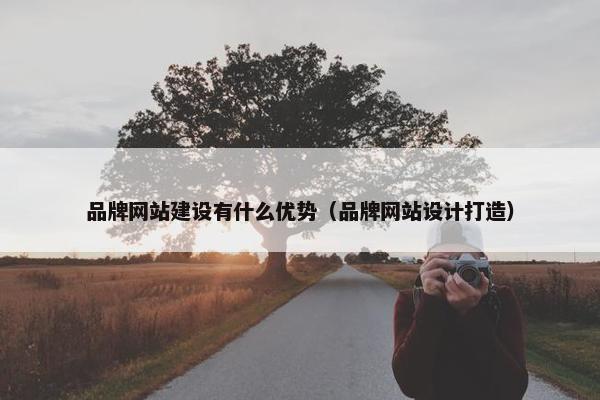 品牌网站建设有什么优势（品牌网站设计打造）