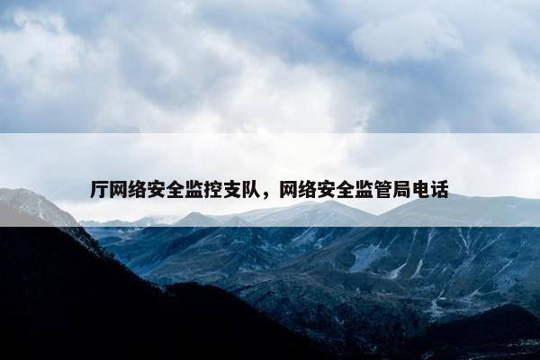厅网络安全监控支队，网络安全监管局电话