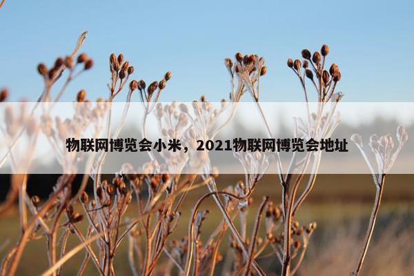 物联网博览会小米，2021物联网博览会地址