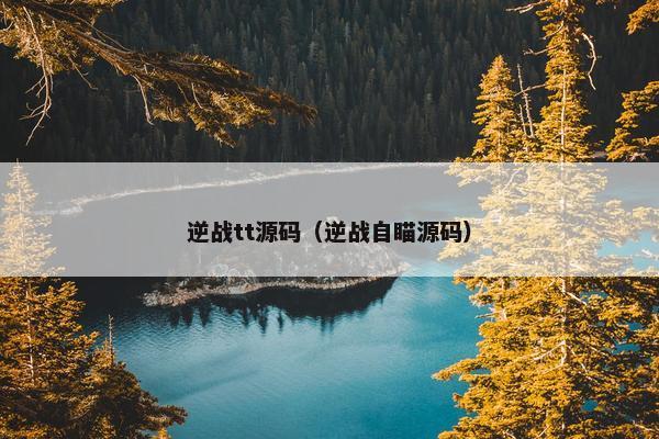 逆战tt源码（逆战自瞄源码）