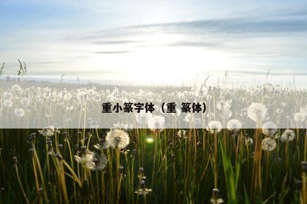 重小篆字体（重 篆体）
