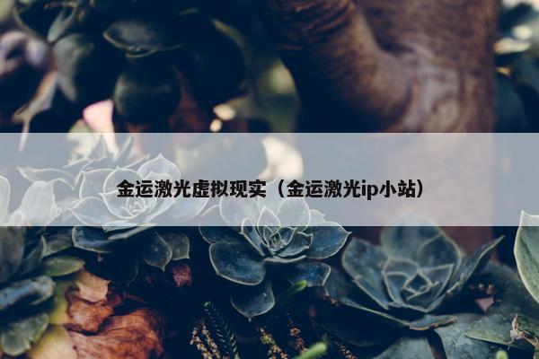 金运激光虚拟现实（金运激光ip小站）