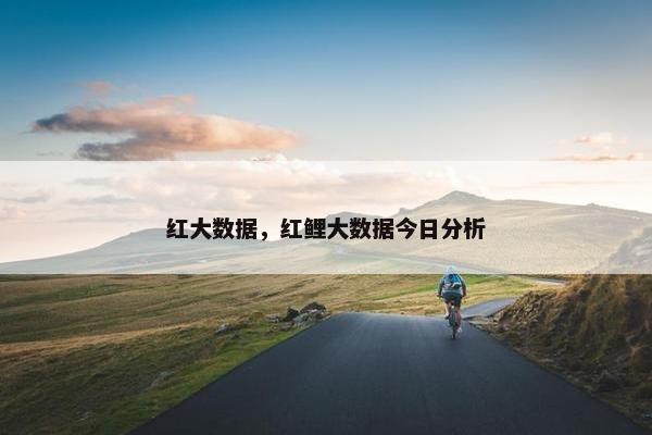 红大数据，红鲤大数据今日分析