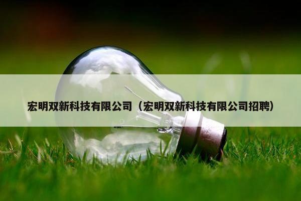 宏明双新科技有限公司（宏明双新科技有限公司招聘）
