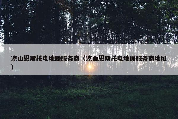 凉山恩斯托电地暖服务商（凉山恩斯托电地暖服务商地址）