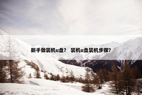 新手做装机u盘？ 装机u盘装机步骤？