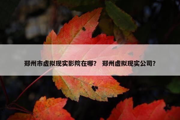 郑州市虚拟现实影院在哪？ 郑州虚拟现实公司？
