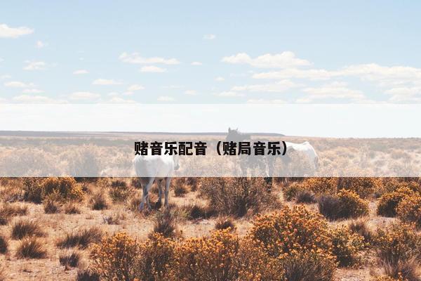 赌音乐配音（赌局音乐）