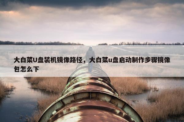 大白菜U盘装机镜像路径，大白菜u盘启动制作步骤镜像包怎么下
