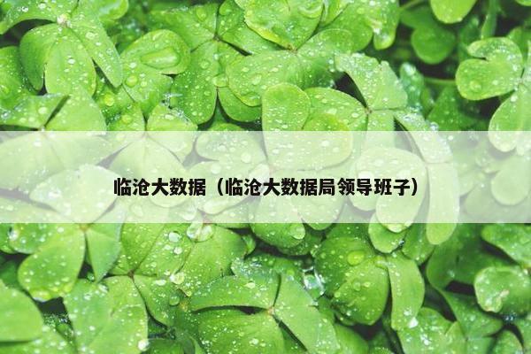 临沧大数据（临沧大数据局领导班子）
