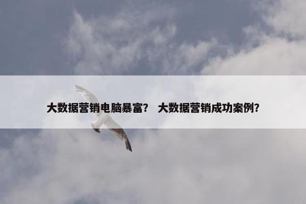 大数据营销电脑暴富？ 大数据营销成功案例？