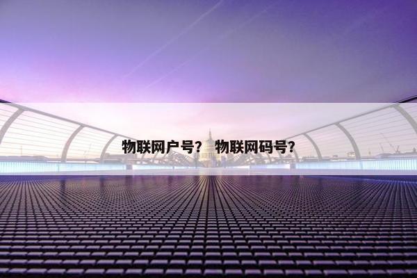 物联网户号？ 物联网码号？