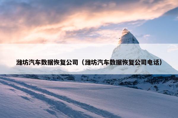 潍坊汽车数据恢复公司（潍坊汽车数据恢复公司电话）