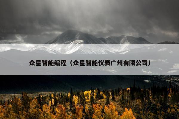 众星智能编程（众星智能仪表广州有限公司）