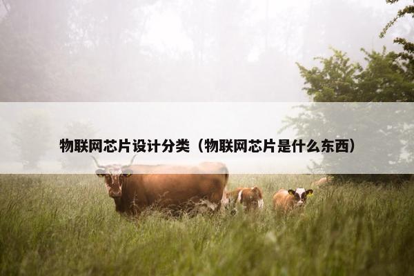 物联网芯片设计分类（物联网芯片是什么东西）