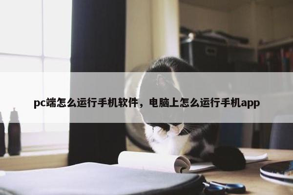 pc端怎么运行手机软件，电脑上怎么运行手机app