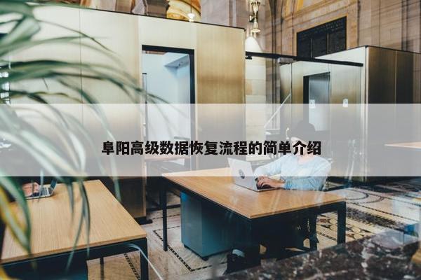 阜阳高级数据恢复流程的简单介绍