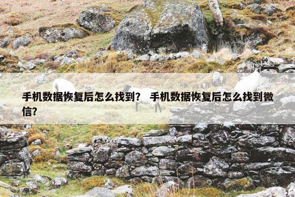 手机数据恢复后怎么找到？ 手机数据恢复后怎么找到微信？