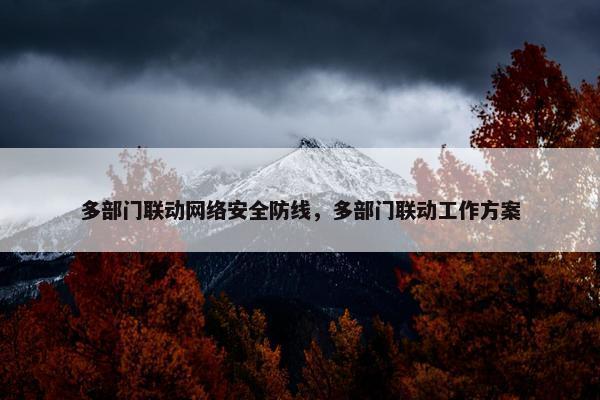 多部门联动网络安全防线，多部门联动工作方案
