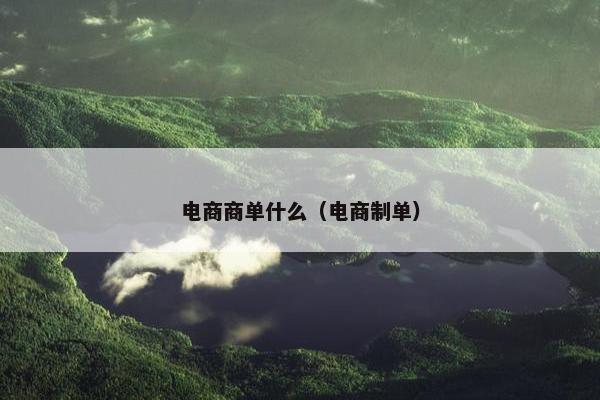 电商商单什么（电商制单）