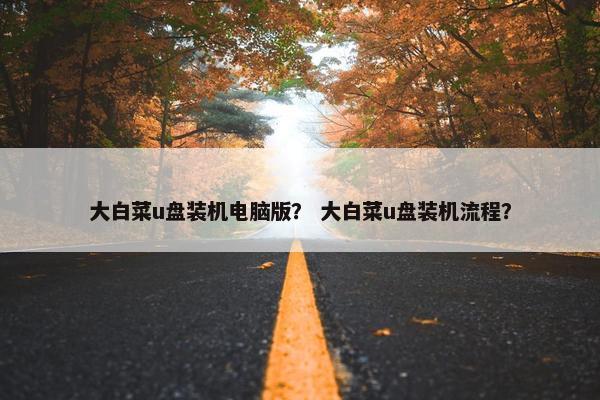 大白菜u盘装机电脑版？ 大白菜u盘装机流程？