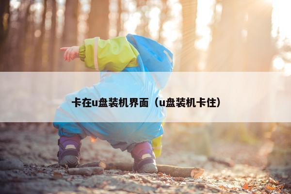 卡在u盘装机界面（u盘装机卡住）