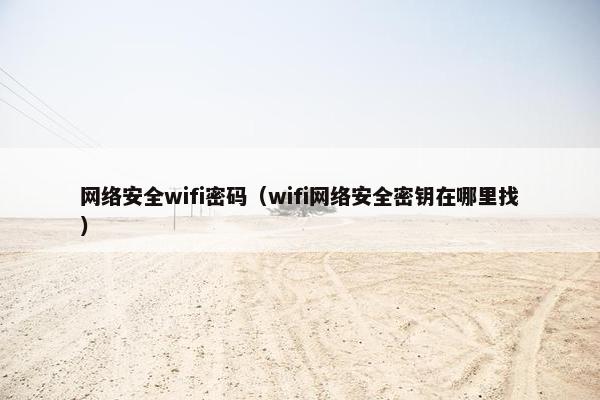 网络安全wifi密码（wifi网络安全密钥在哪里找）