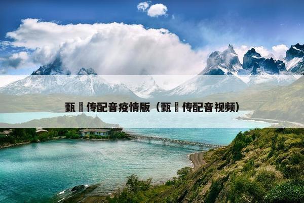 甄嬛传配音疫情版（甄嬛传配音视频）