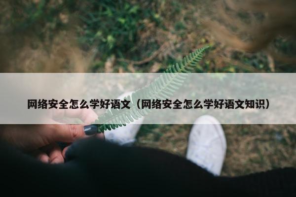 网络安全怎么学好语文（网络安全怎么学好语文知识）