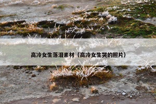 高冷女生落泪素材（高冷女生哭的照片）