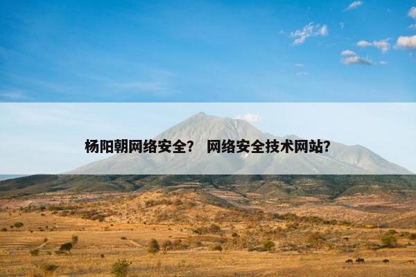 杨阳朝网络安全？ 网络安全技术网站？