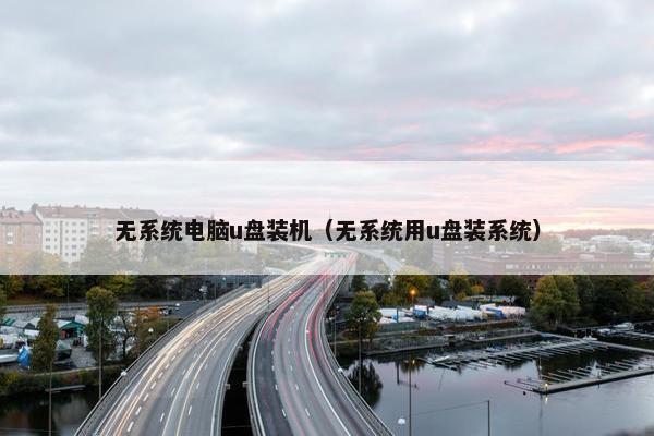 无系统电脑u盘装机（无系统用u盘装系统）