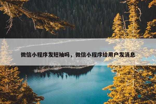 微信小程序发短袖吗，微信小程序给用户发消息