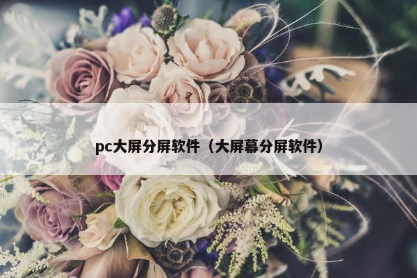 pc大屏分屏软件（大屏幕分屏软件）