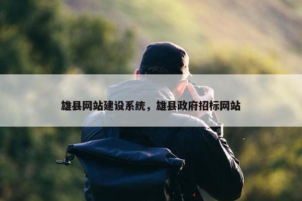 雄县网站建设系统，雄县政府招标网站