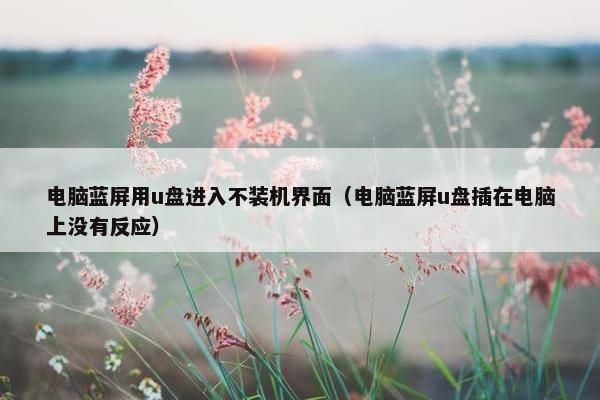 电脑蓝屏用u盘进入不装机界面（电脑蓝屏u盘插在电脑上没有反应）