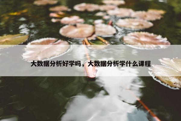 大数据分析好学吗，大数据分析学什么课程