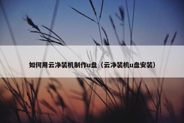 如何用云净装机制作u盘（云净装机u盘安装）