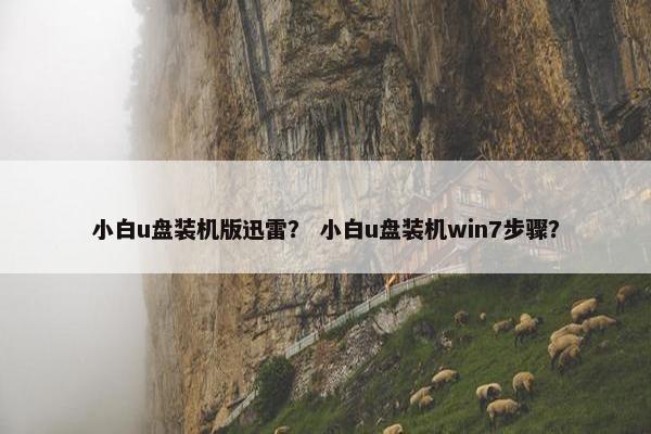 小白u盘装机版迅雷？ 小白u盘装机win7步骤？