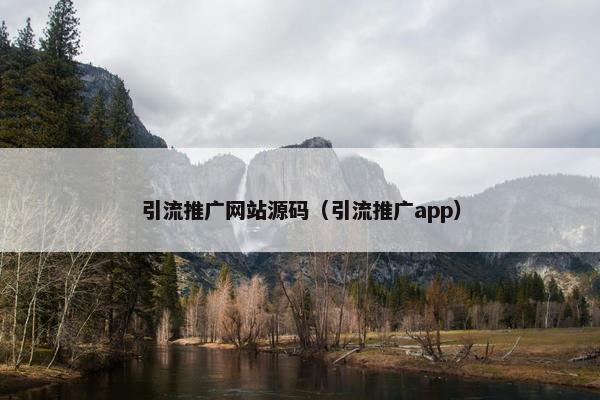 引流推广网站源码（引流推广app）