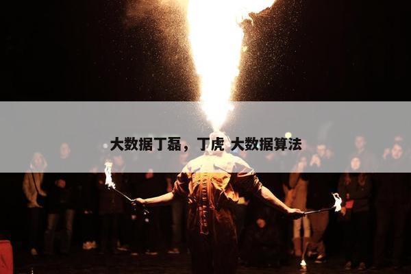 大数据丁磊，丁虎 大数据算法