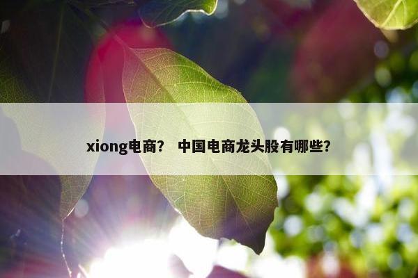 xiong电商？ 中国电商龙头股有哪些？