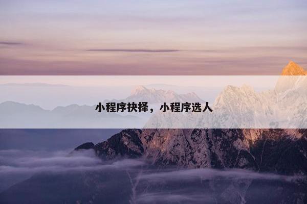 小程序抉择，小程序选人